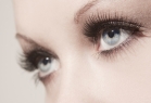 (c) Kanea - Fotolia.com